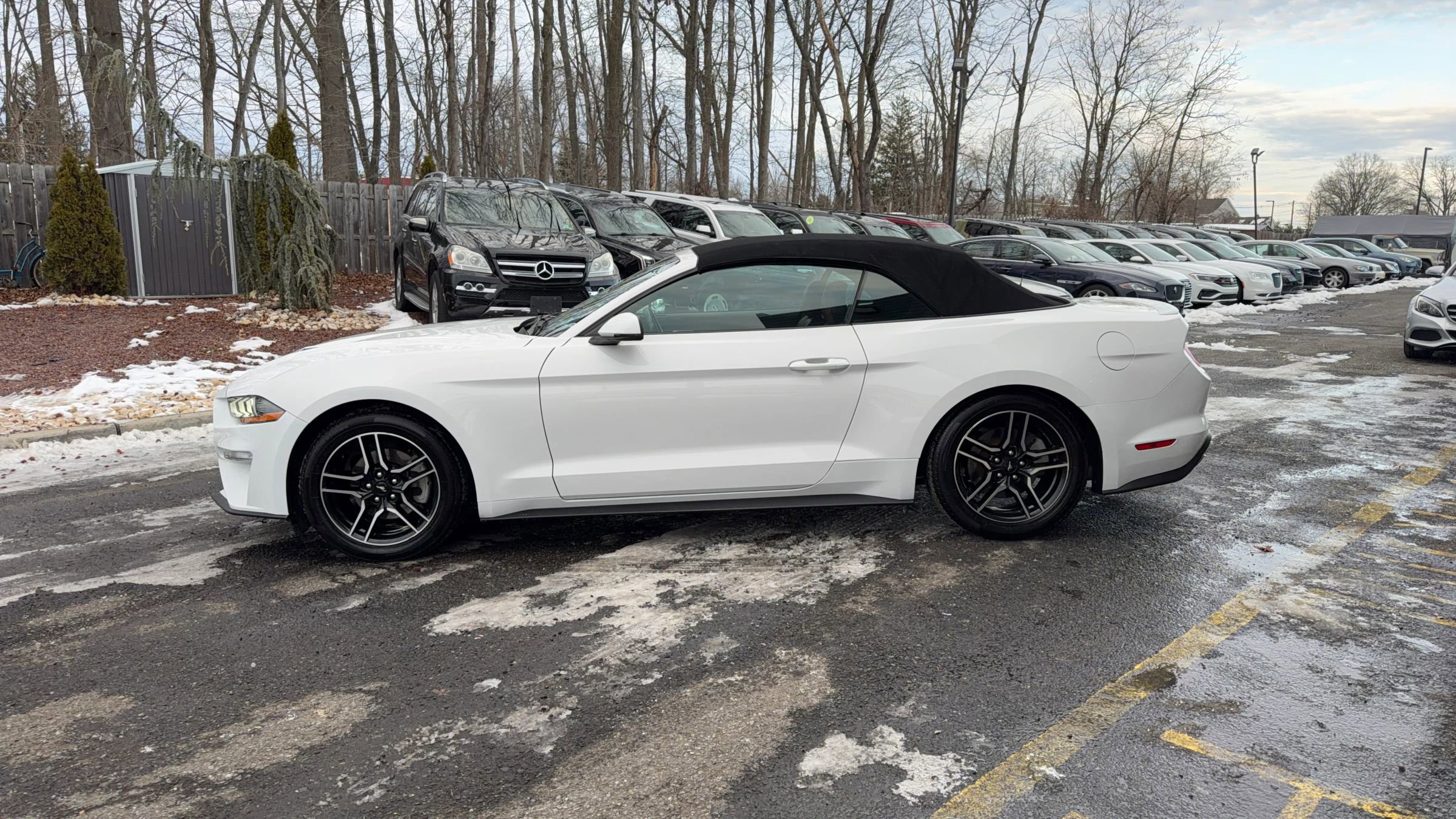 Used 2020 Ford Mustang Premium image 8