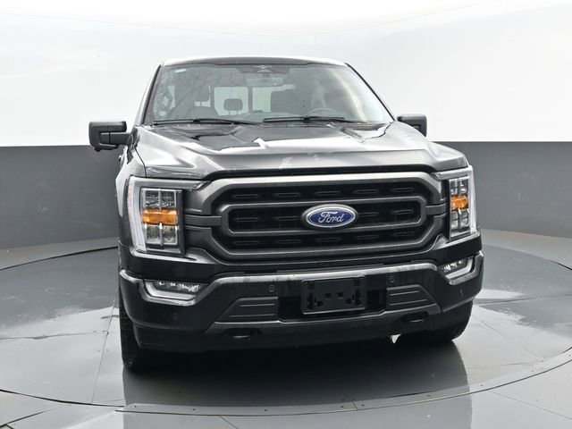 Used 2023 Ford F150 XLT w/ Equipment Group 302A High image 22