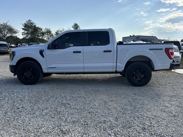Used 2023 Ford F150 XL w/ Rattler Package AWD/4WD image 3