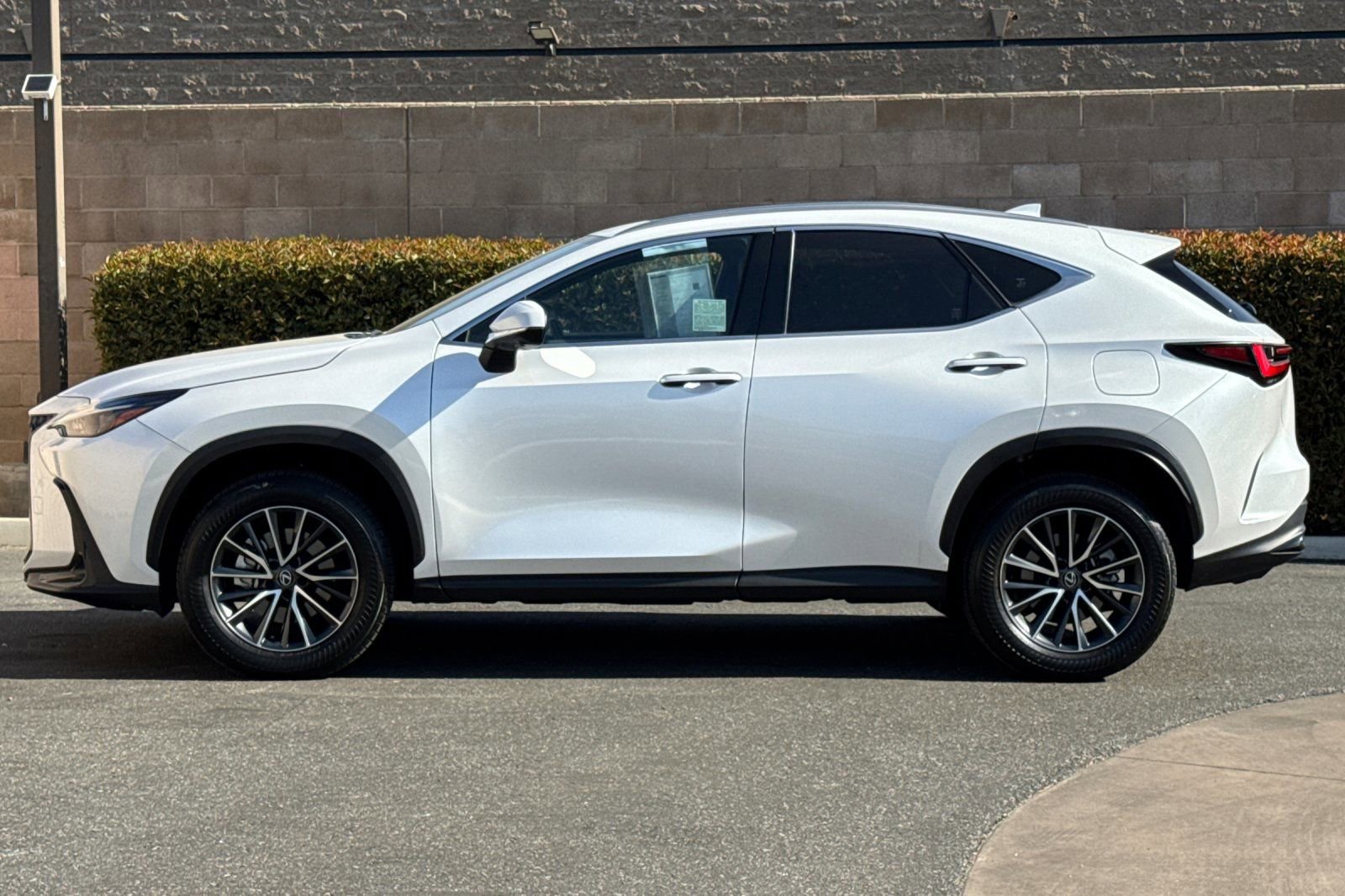 Certified 2025 Lexus NX 350h AWD w/ Cold Area Package image 7