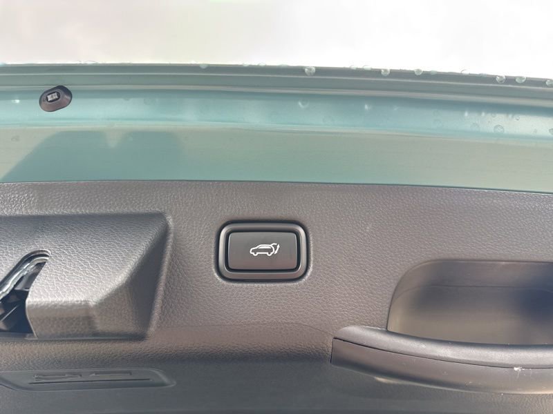 New 2026 Kia Seltos SX w/ SX Sunroof Package image 13