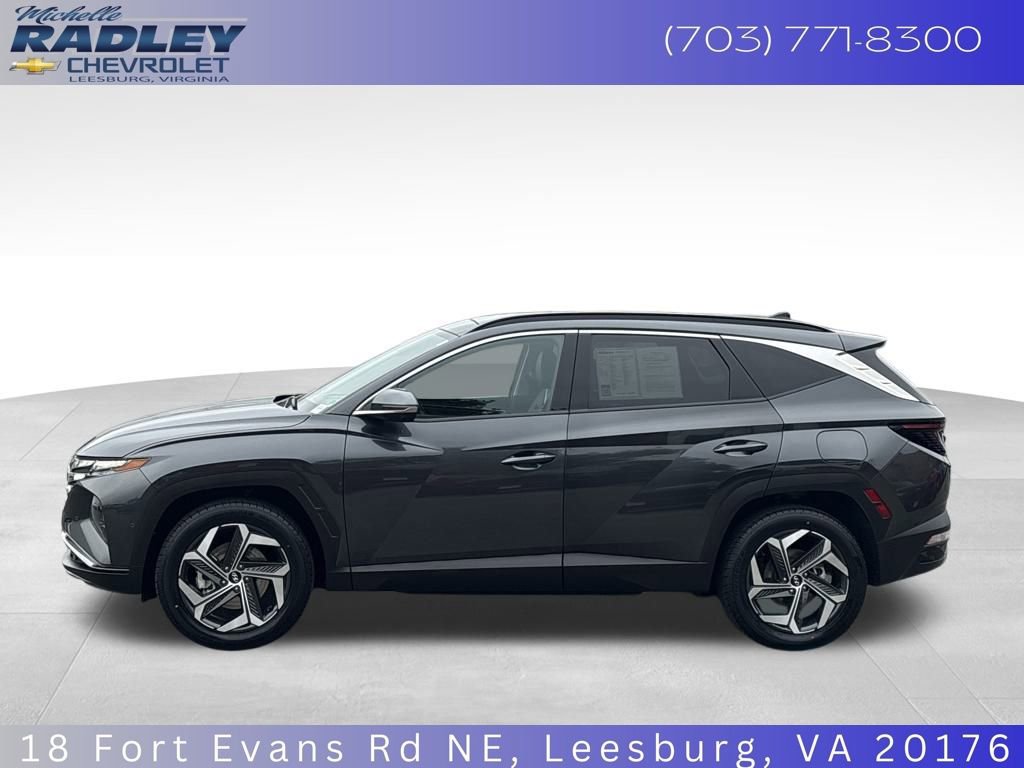 Used 2024 Hyundai Tucson Limited image 2