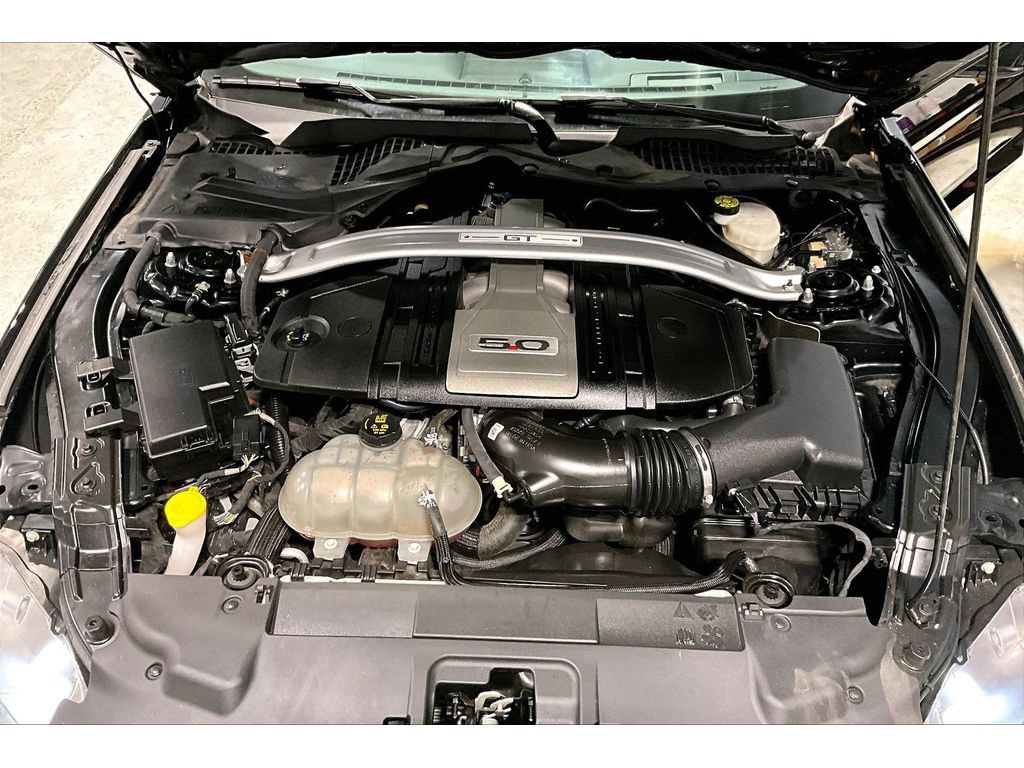 Used 2019 Ford Mustang GT Premium w/ Equipment Group 401A RWD image 12