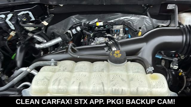 Used 2023 Ford F150 XL w/ STX Appearance Package AWD/4WD image 33