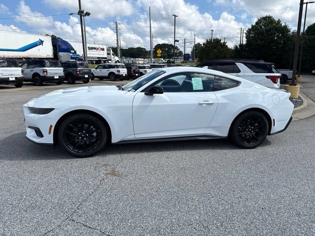 New 2026 Ford Mustang Coupe w/ Mustang Nite Pony Package RWD image 6