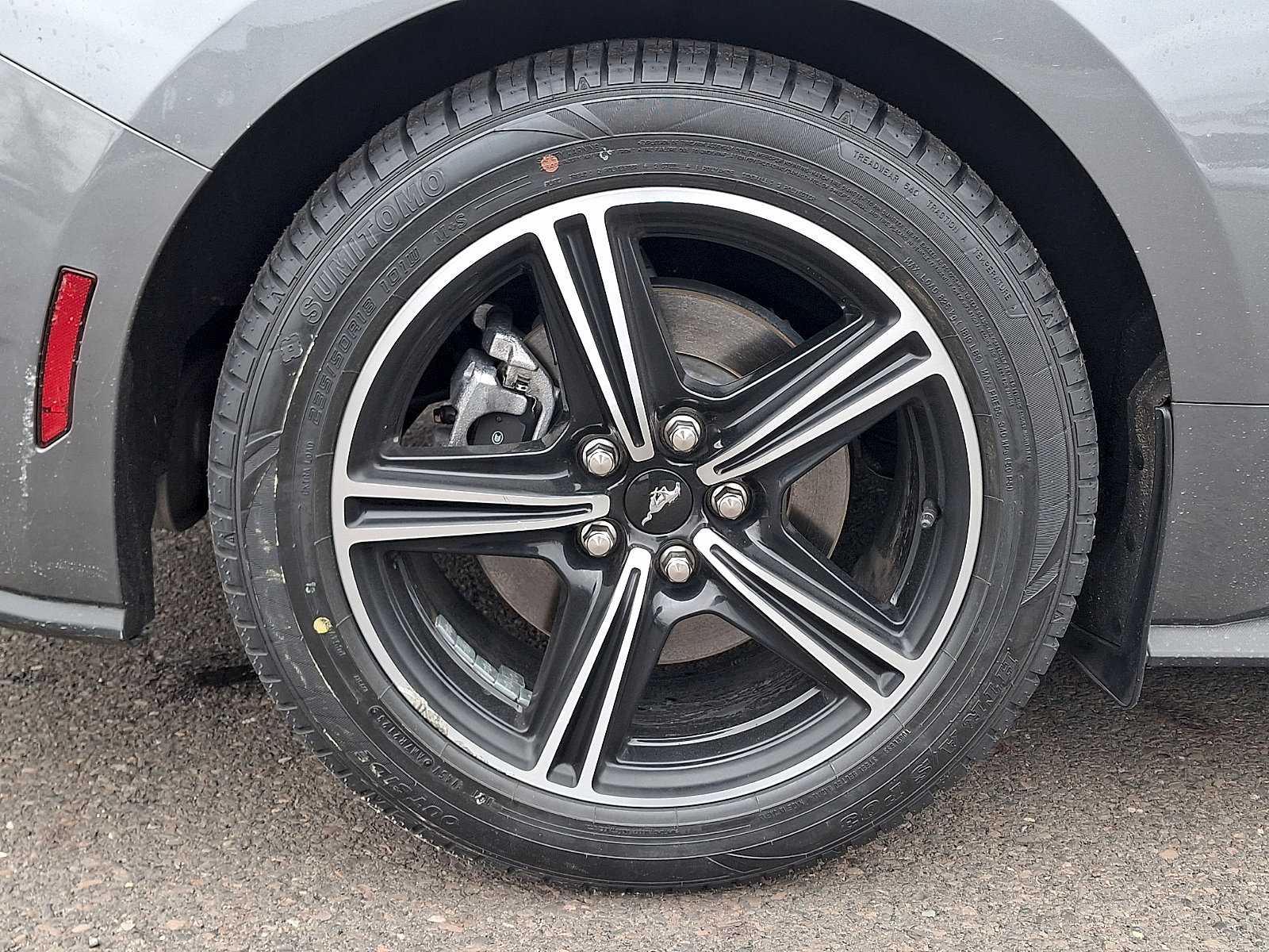 Used 2024 Ford Mustang EcoBoost Fastback image 9