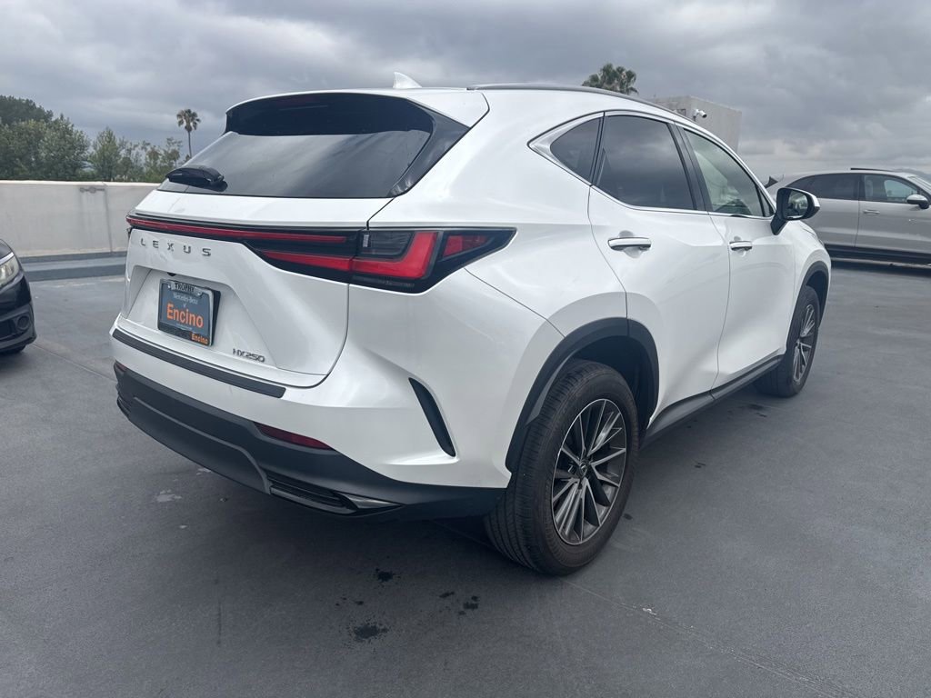 Used 2024 Lexus NX 250 FWD image 5