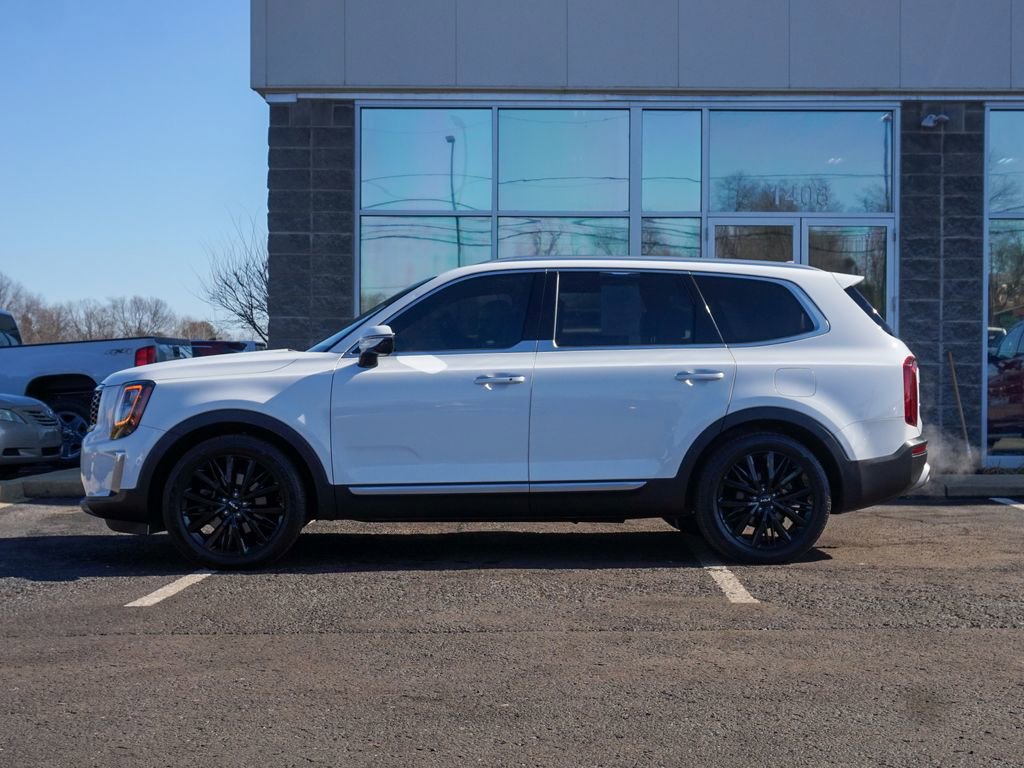 Used 2022 Kia Telluride SX w/ SX Prestige Package image 5