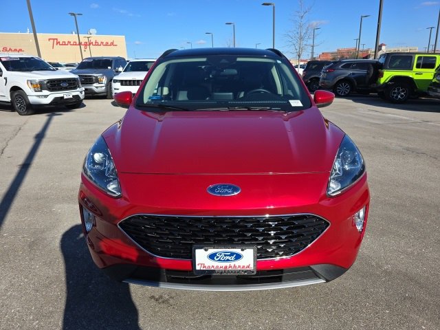 Certified 2020 Ford Escape SEL image 8