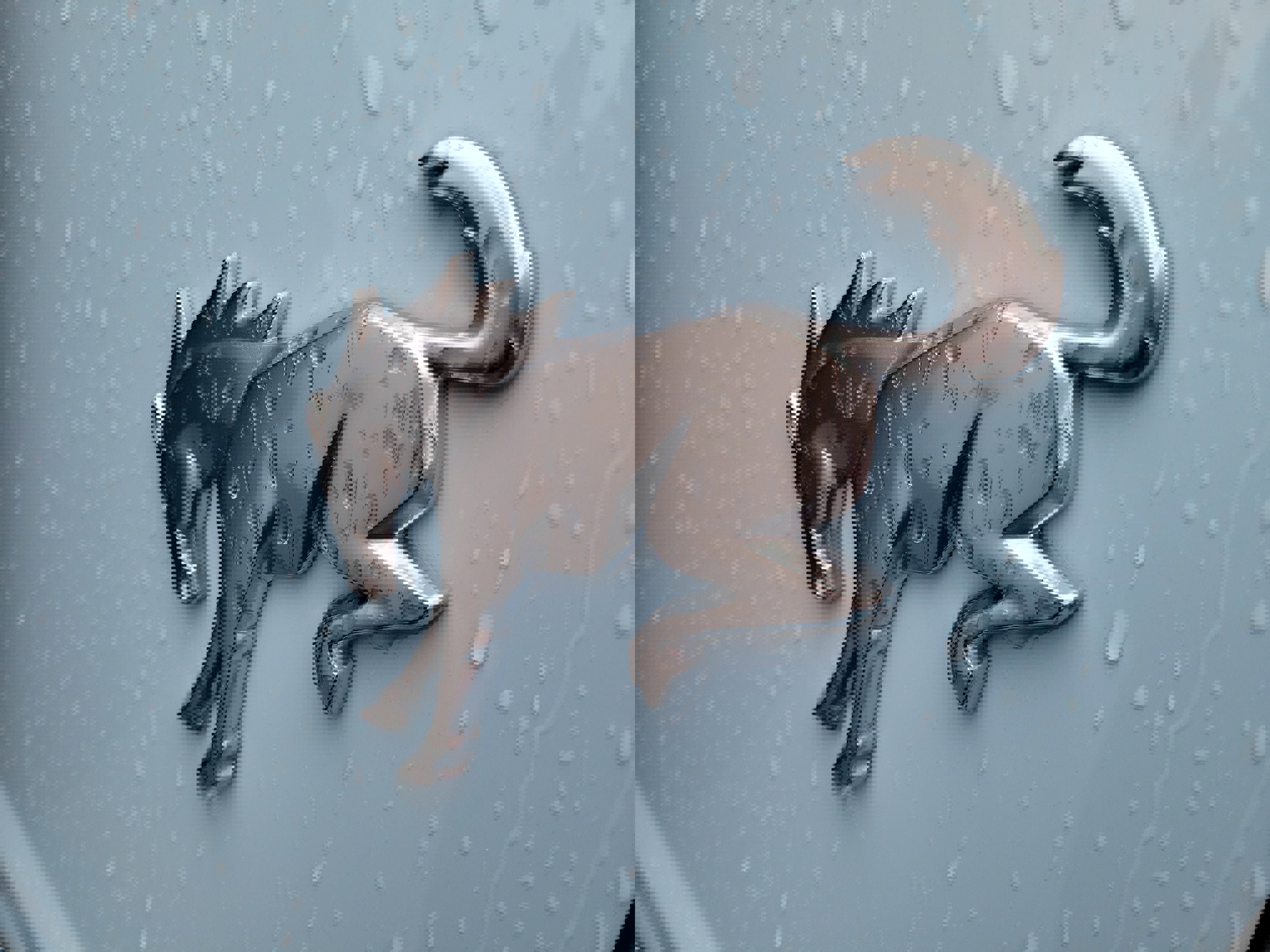 Certified 2023 Ford Bronco Heritage Edition image 6