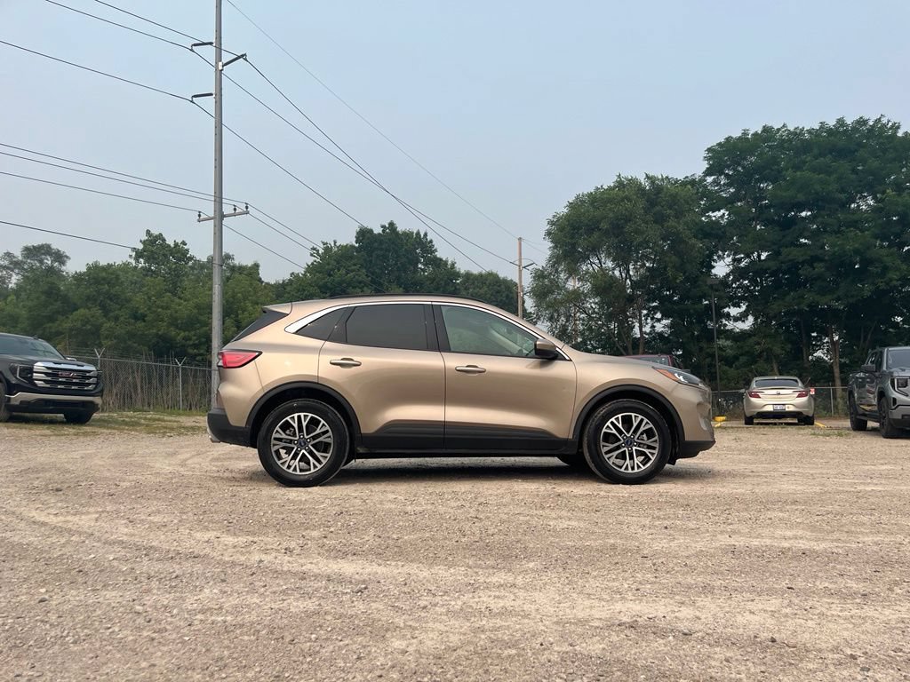 Used 2020 Ford Escape SEL AWD/4WD image 6
