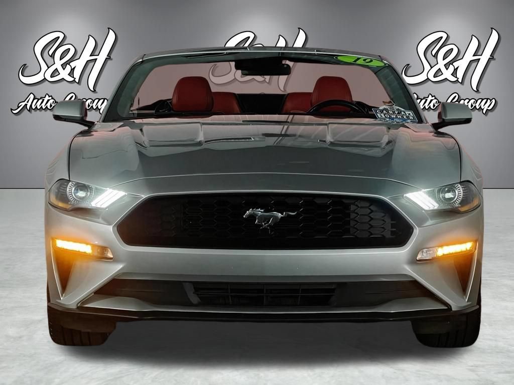 Used 2019 Ford Mustang Premium w/ Equipment Group 201A RWD image 22