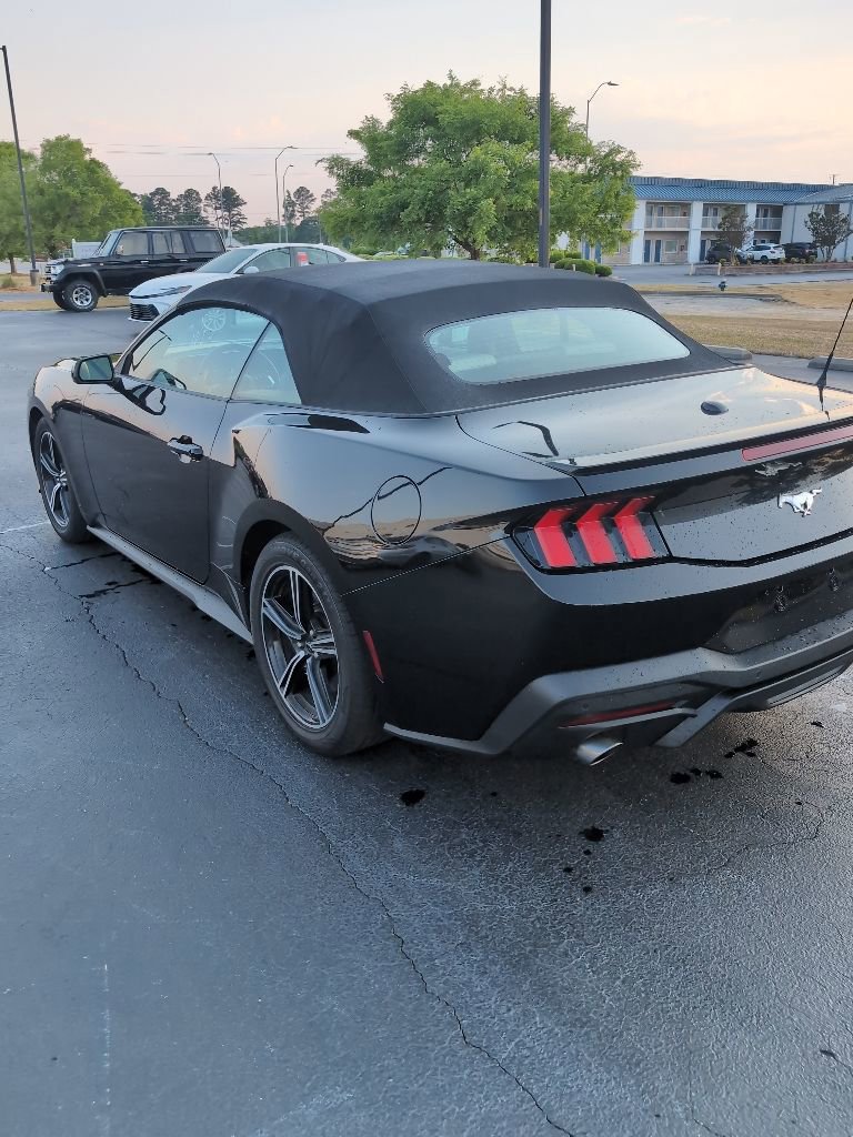Used 2024 Ford Mustang Premium RWD image 3
