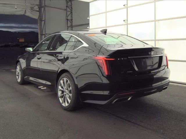 Used 2024 Cadillac CT5 Premium Luxury w/ Climate Package image 4