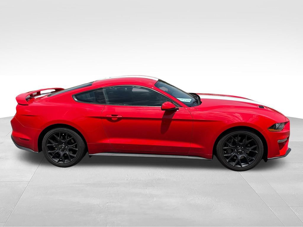 Used 2019 Ford Mustang Coupe w/ Ecoboost Performance Package RWD image 9