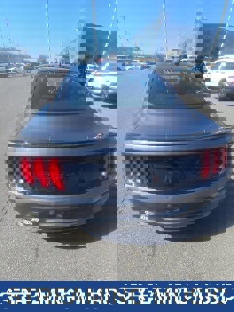 Used 2021 Ford Mustang GT Premium w/ Equipment Group 401A image 8