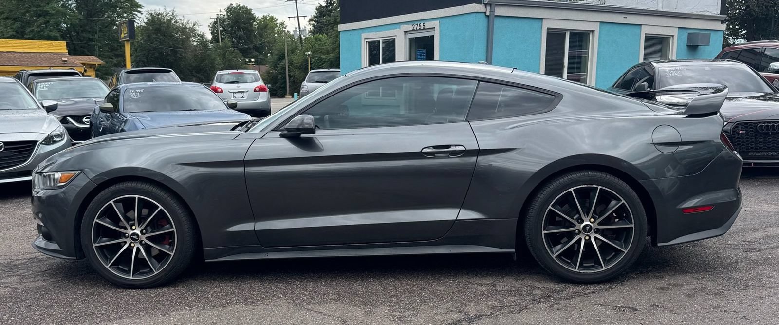 Used 2017 Ford Mustang Premium w/ Wheel & Stripe Package RWD image 6