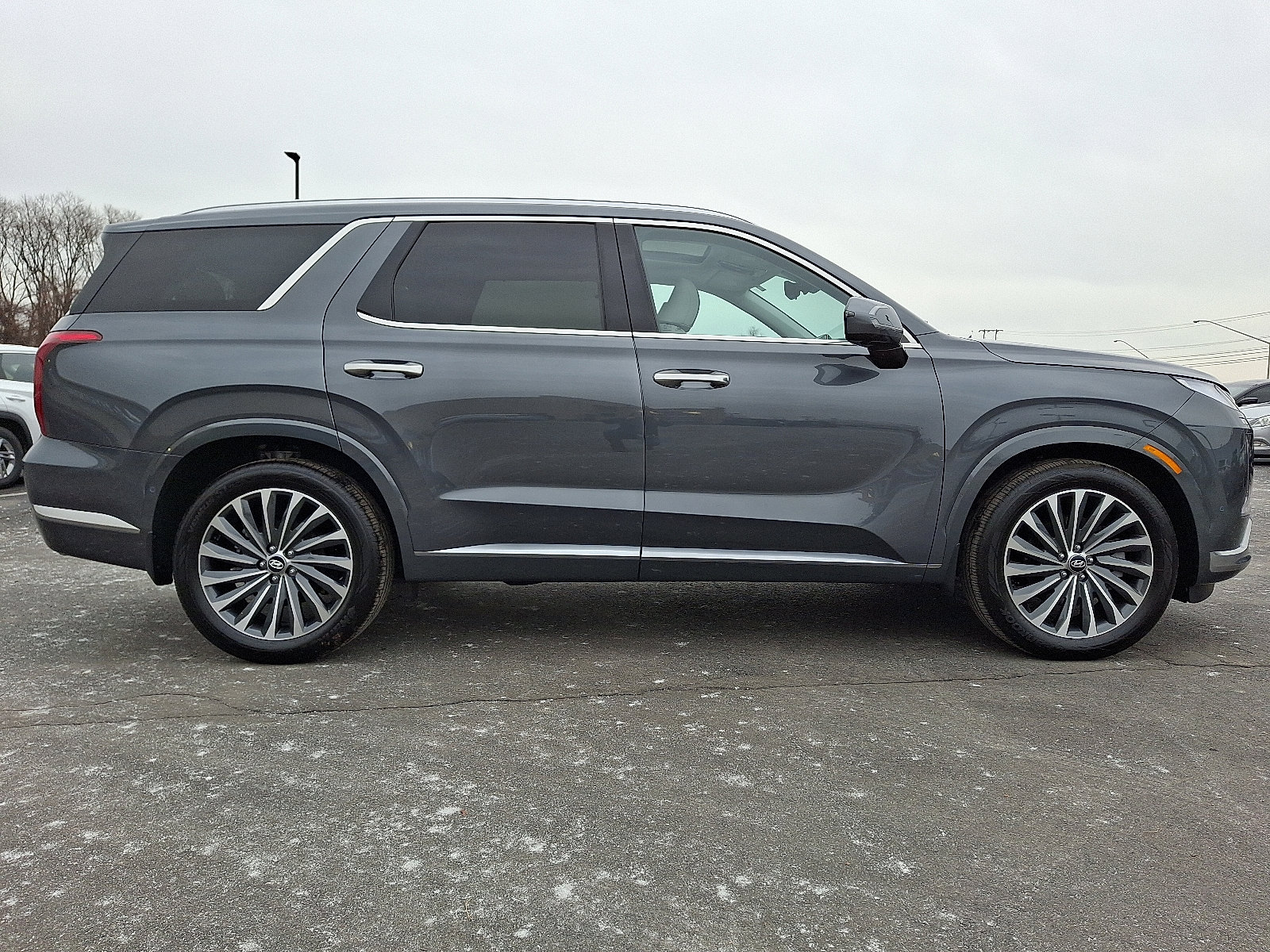 Used 2025 Hyundai Palisade Calligraphy image 7