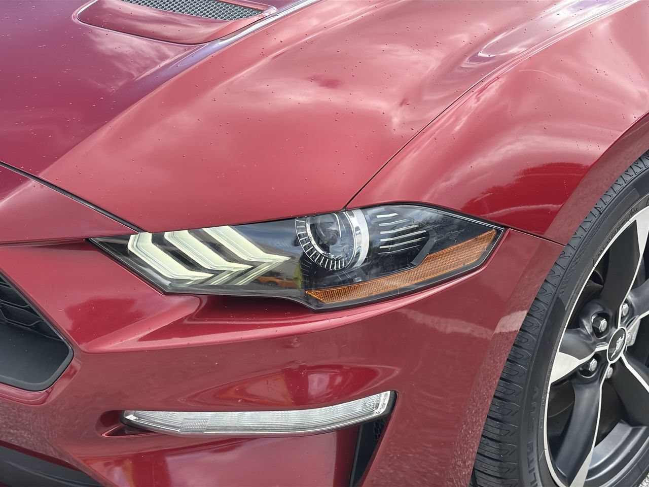 Used 2018 Ford Mustang Coupe RWD image 6
