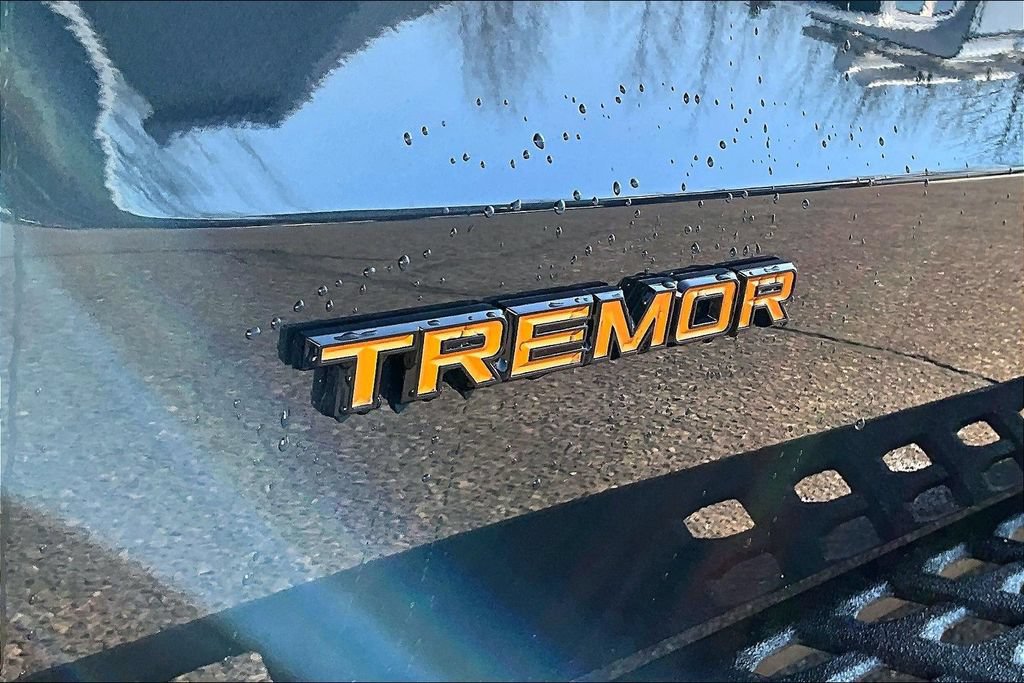 Certified 2026 Ford Expedition Tremor AWD/4WD image 10