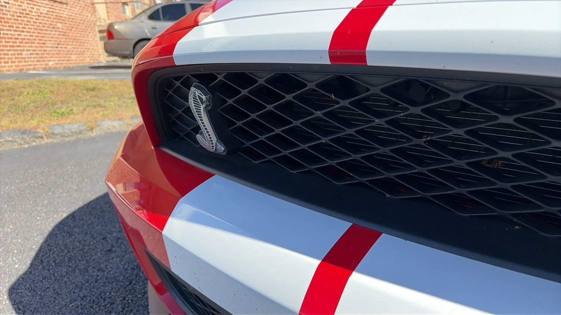 Used 2010 Ford Mustang Shelby GT500 image 24