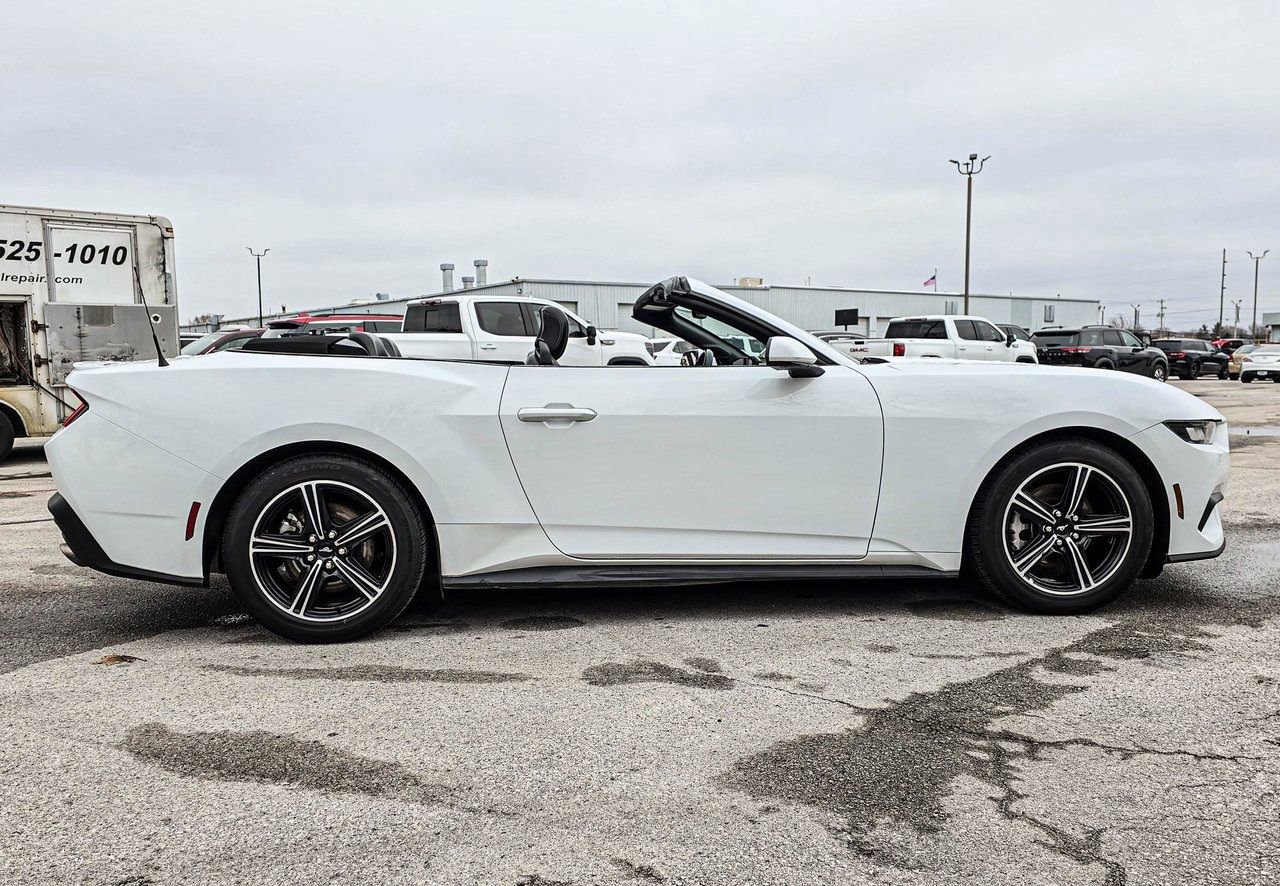 Used 2024 Ford Mustang Premium image 10