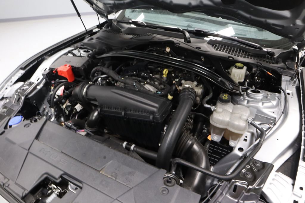 Certified 2025 Ford Mustang Premium RWD image 13