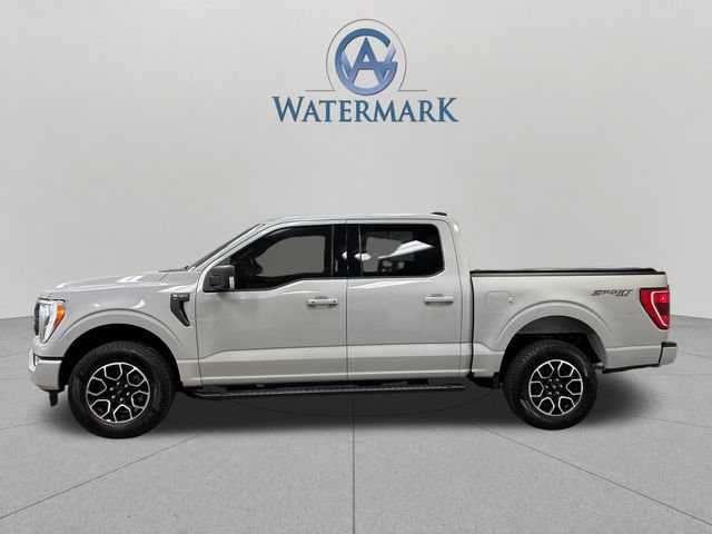 Used 2023 Ford F150 XLT w/ Equipment Group 302A High AWD/4WD image 2