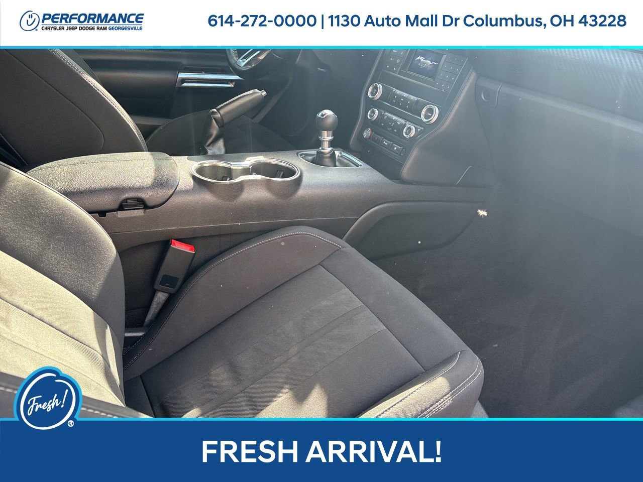 Used 2019 Ford Mustang EcoBoost w/ Black Accent Package image 14