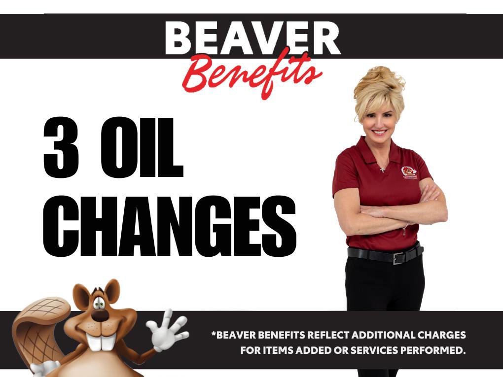 Used 2023 Ford Bronco Everglades image 5