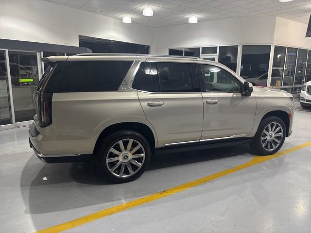 Used 2024 Cadillac Escalade Premium Luxury Platinum image 9