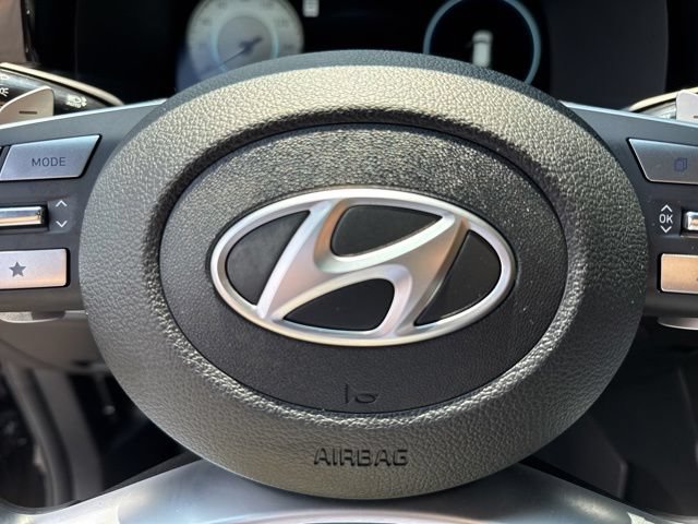 Used 2025 Hyundai Palisade Calligraphy AWD/4WD image 14