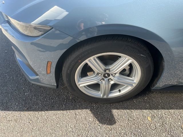 New 2026 Ford Mustang Coupe image 10