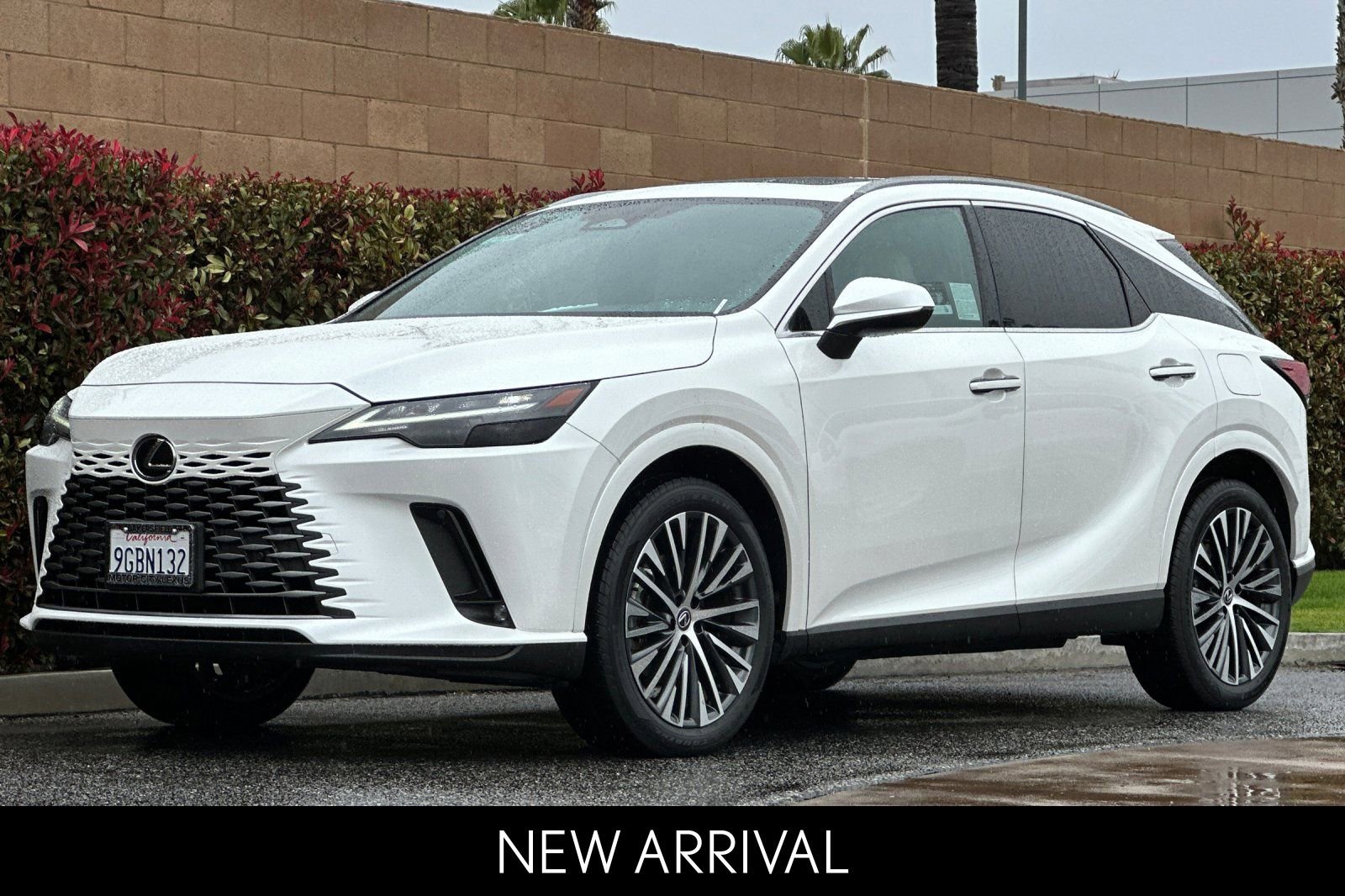 Certified 2023 Lexus RX 350 Premium Plus w/ Cold Area Package image 8