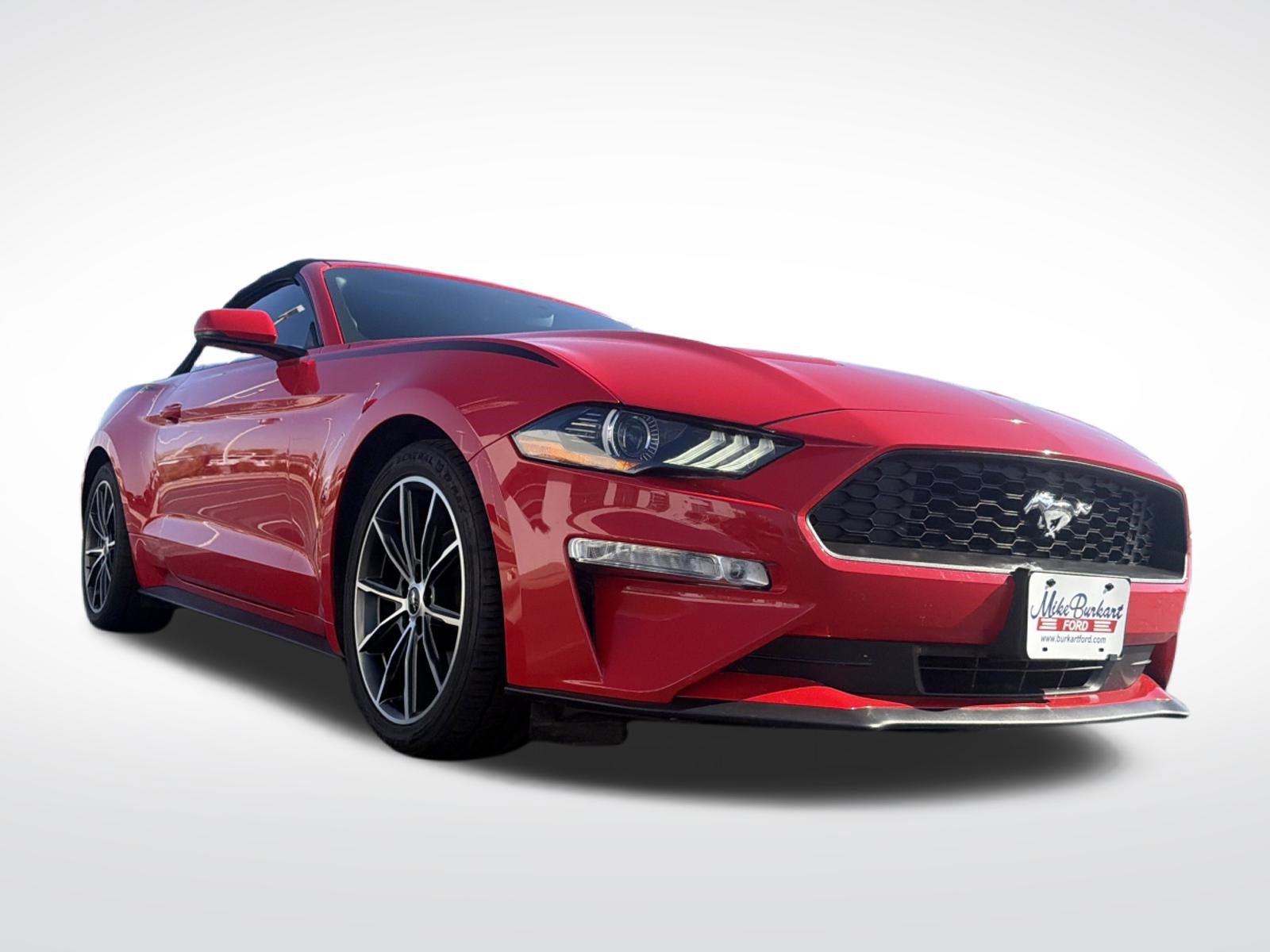 Used 2019 Ford Mustang Premium w/ Equipment Group 201A RWD image 6