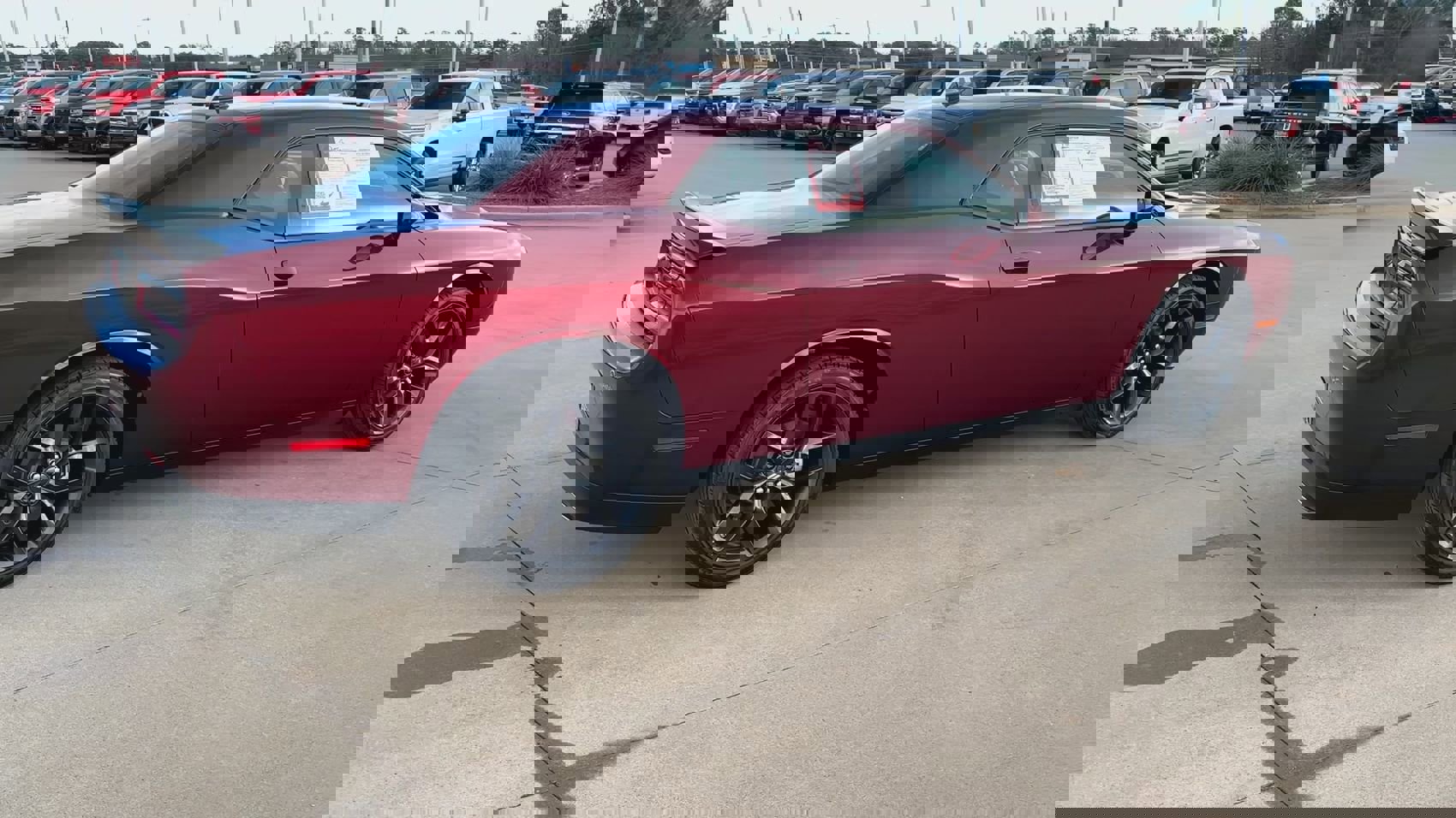 Used 2023 Dodge Challenger SXT w/ Blacktop Package image 9