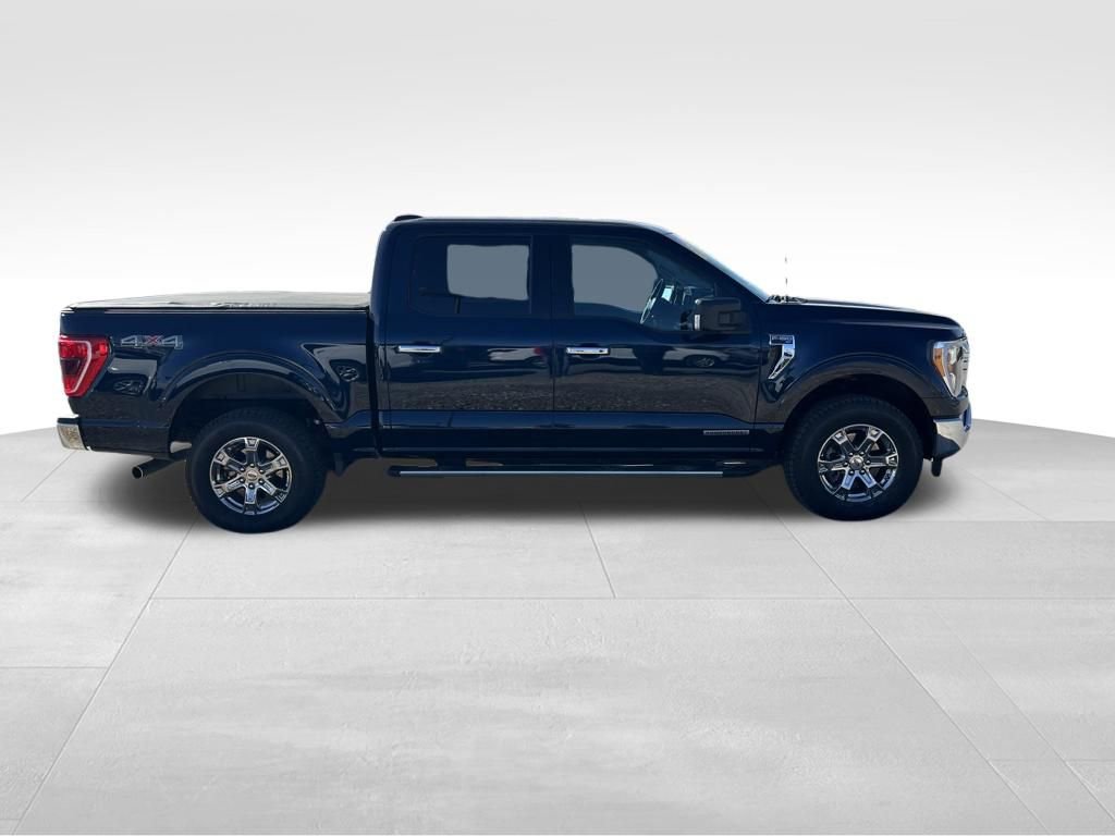 Used 2023 Ford F150 XLT w/ Equipment Group 302A High AWD/4WD image 8