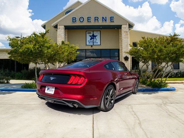 Used 2019 Ford Mustang Premium w/ Equipment Group 201A image 5