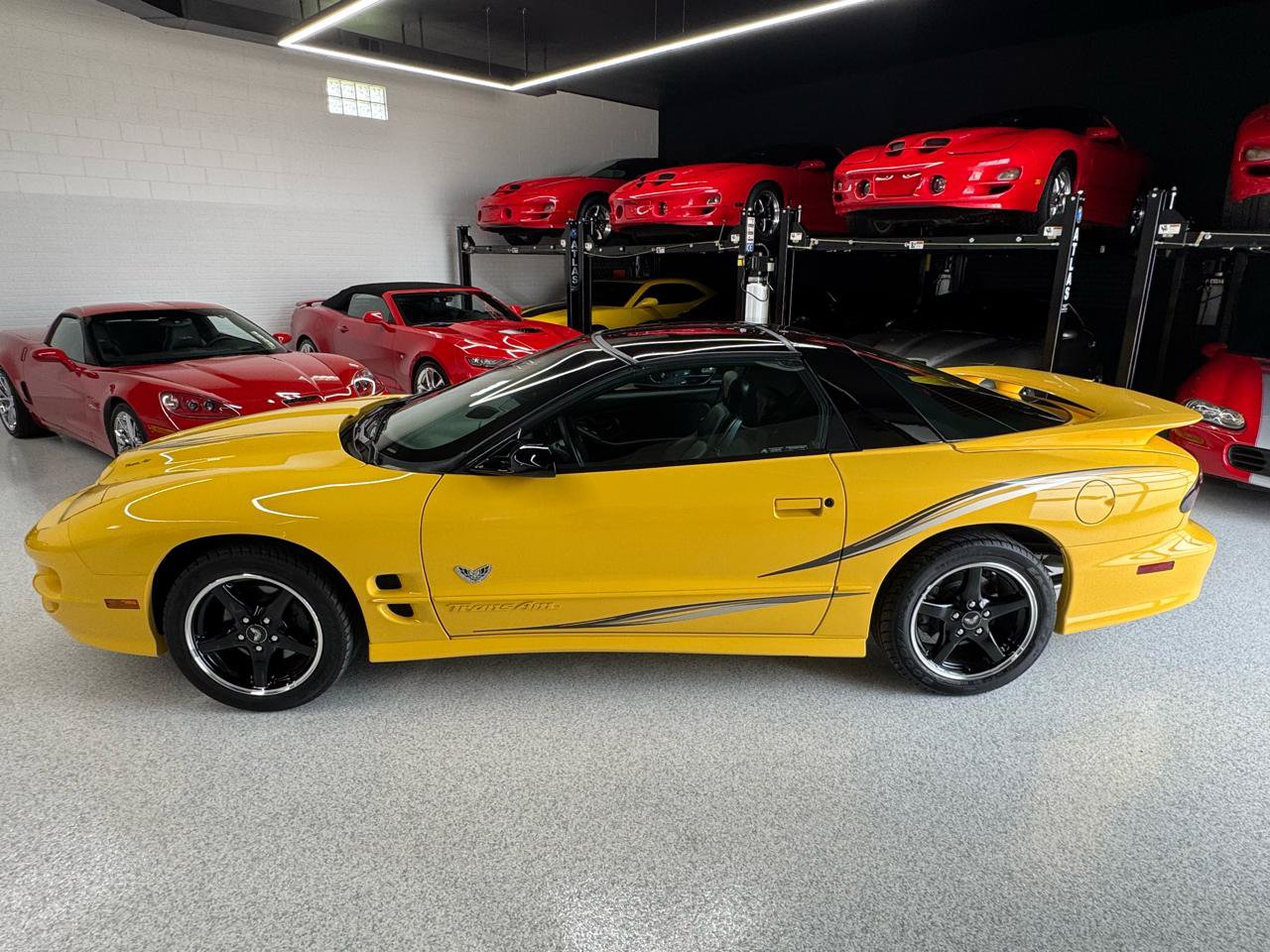 Used 2002 Pontiac Firebird Trans Am RWD image 8
