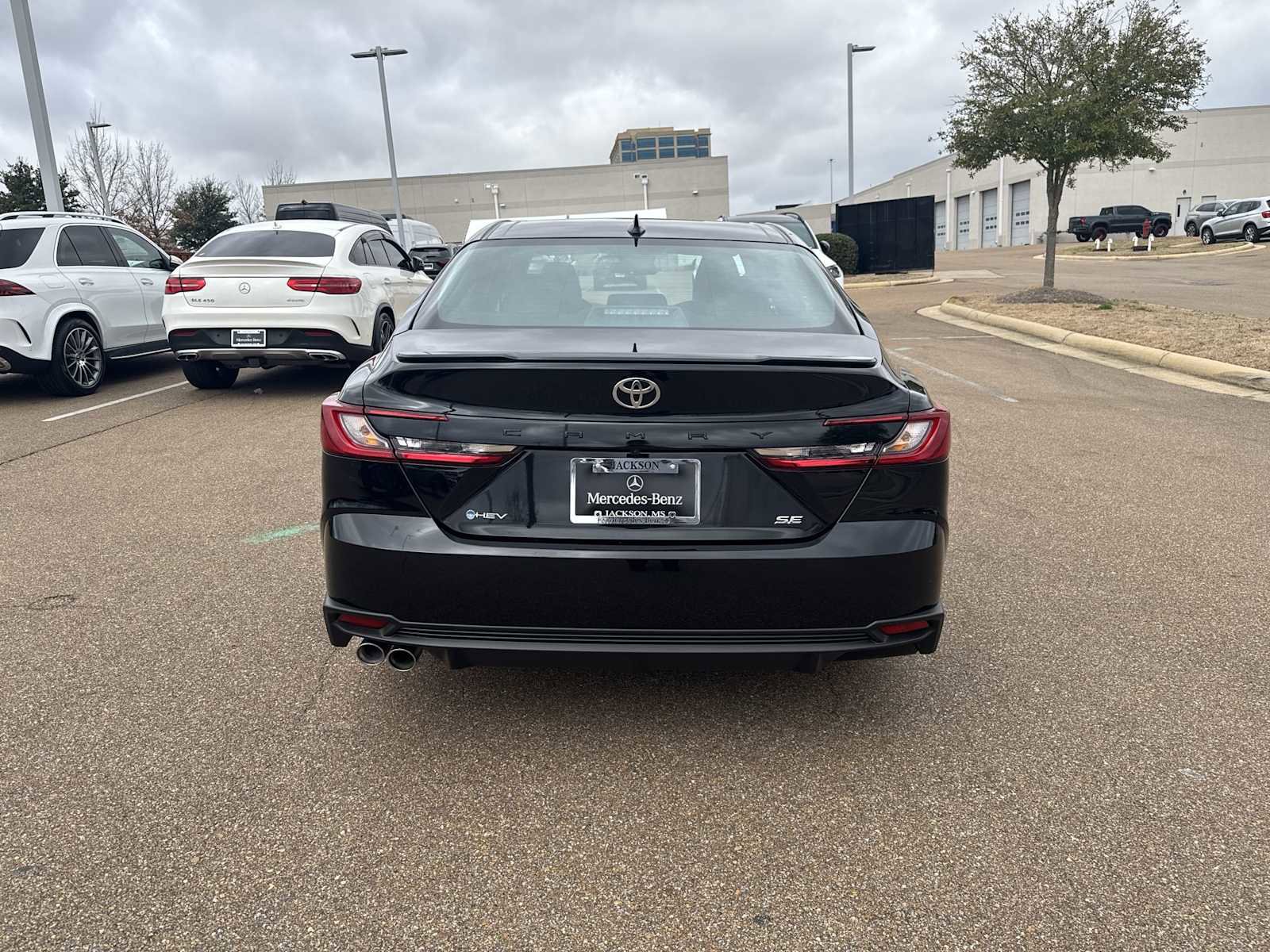 Used 2026 Toyota Camry SE image 5