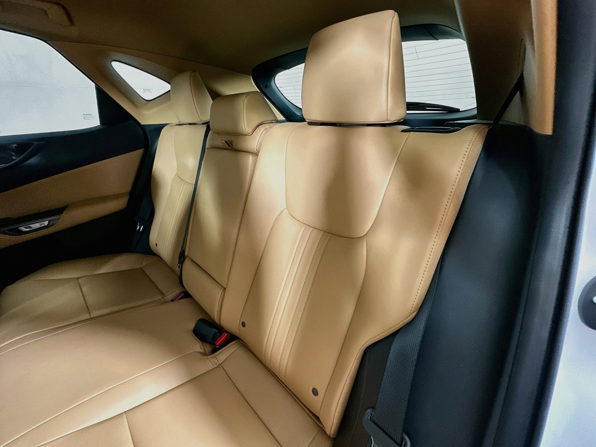 Certified 2024 Lexus NX 350h AWD w/ Cold Area Package image 23