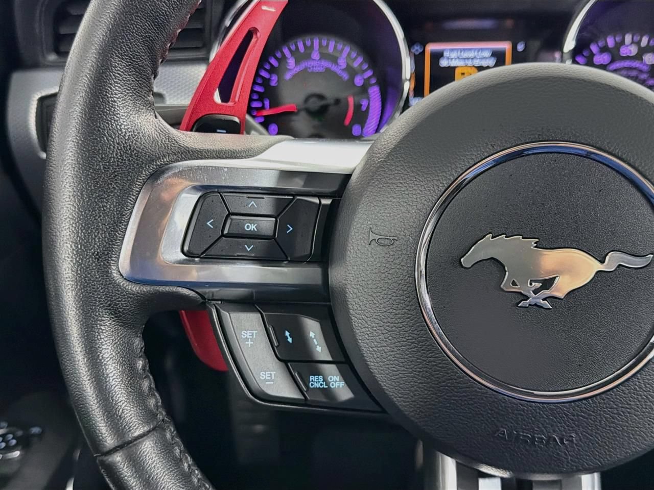 Used 2017 Ford Mustang GT Premium w/ Equipment Group 401A RWD image 51