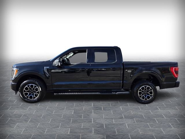 Used 2023 Ford F150 XLT w/ Equipment Group 302A High image 4