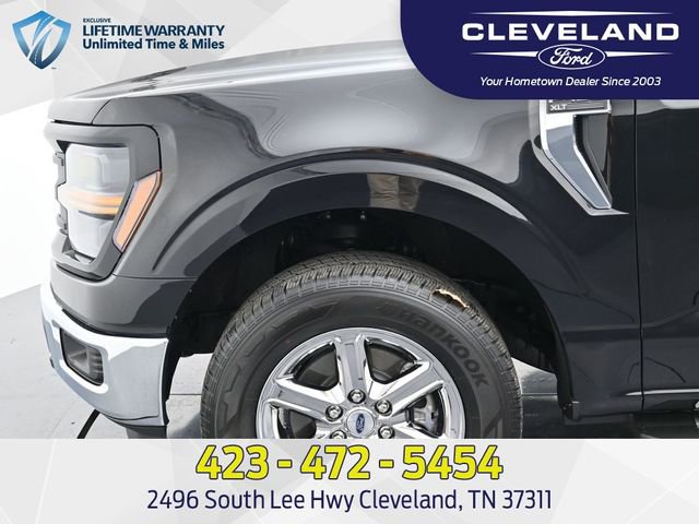 New 2025 Ford F150 XLT w/ Equipment Group 301A Standard image 9
