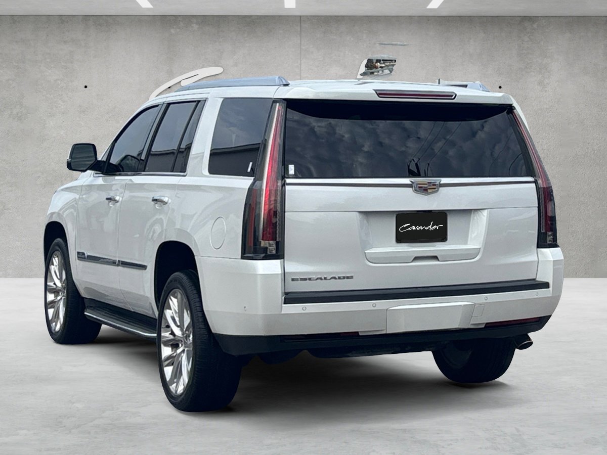 Used 2019 Cadillac Escalade Luxury image 12