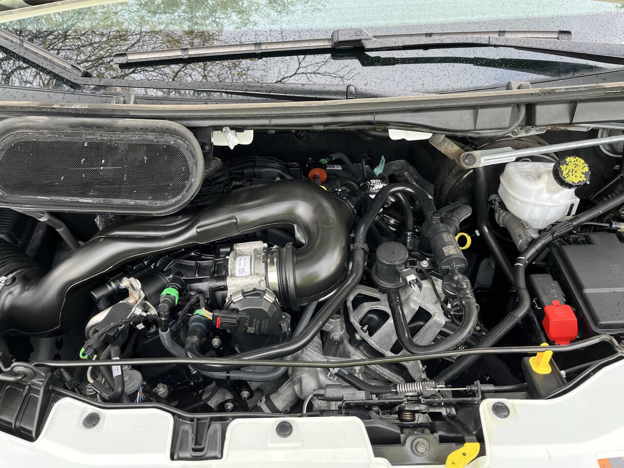 Used 2024 Ford Transit 250 Low Roof w/ Exterior Upgrade Package image 11