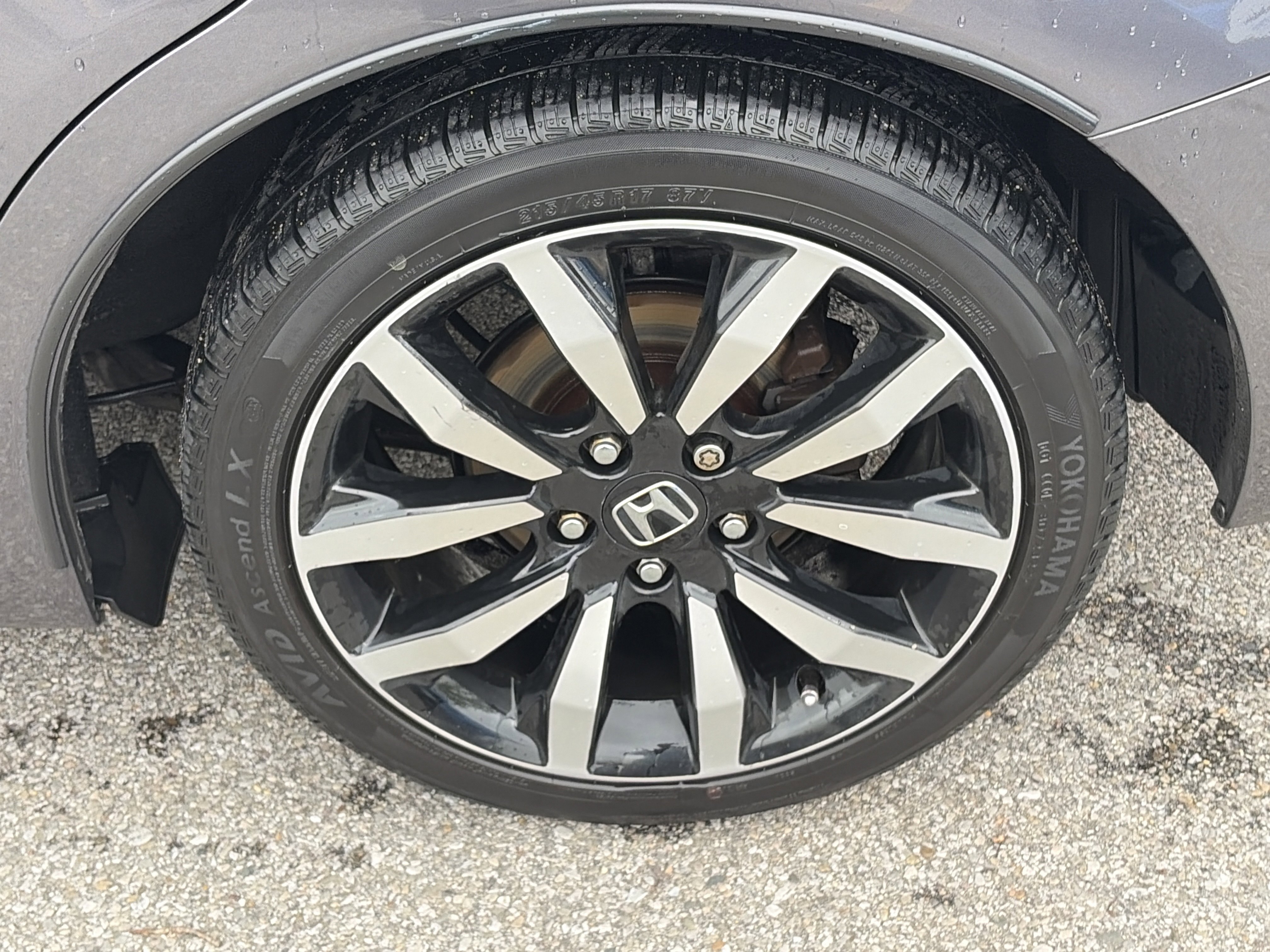 Used 2014 Honda Civic EX-L image 10