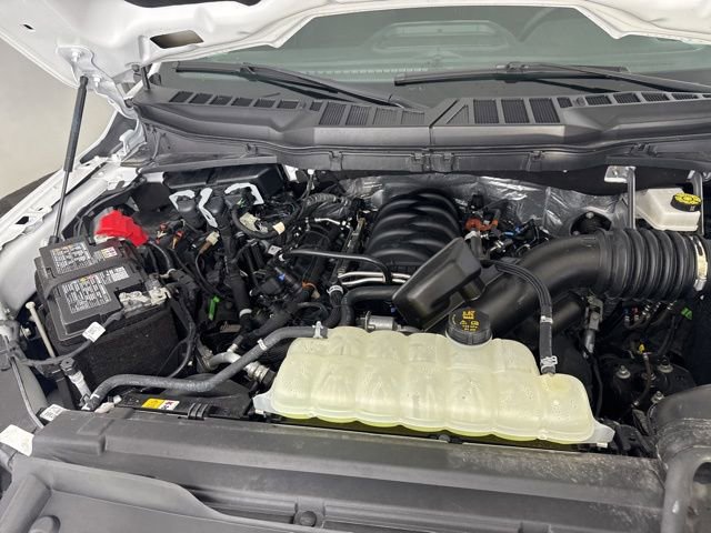 Used 2025 Ford F150 XLT w/ Equipment Group 301A Standard image 34
