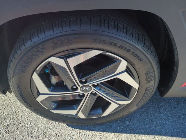 Used 2022 Hyundai Tucson Limited image 10