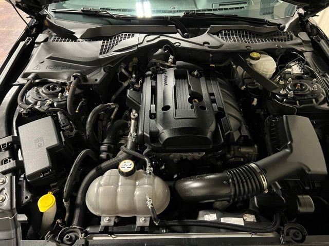 Used 2019 Ford Mustang Premium w/ Equipment Group 201A image 42